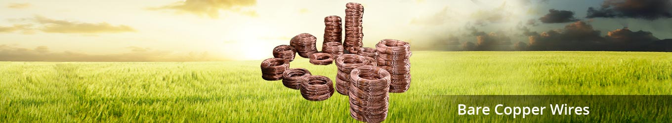 Bare Copper Wires